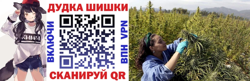 Наркошоп купить COCAIN Alpha-PVP Псилоцибиновые грибы Мефедрон Нововоронеж
