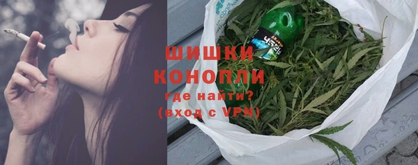 СК Бородино