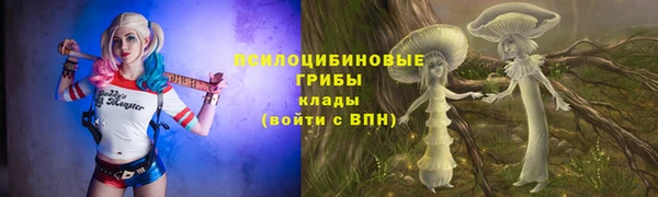 прущие грибы Бугульма