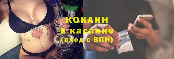 прущие грибы Бугульма