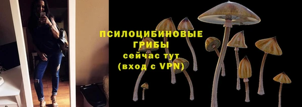 скорость Бронницы