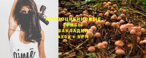 прущие грибы Бугульма