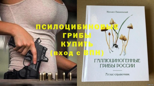 СК Бородино