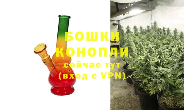 прущие грибы Бугульма