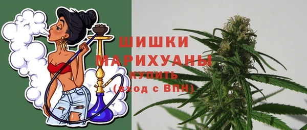 прущие грибы Бугульма