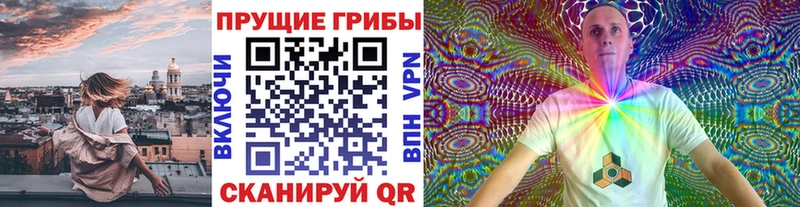 Купить закладки  Нововоронеж  Галлюциногенные грибы мицелий 